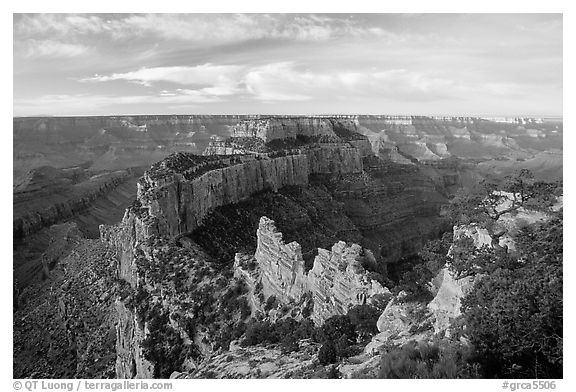 Wotan's Throne seen from Cape Royal, early morning. Grand Canyon National Park, Arizona, USA.