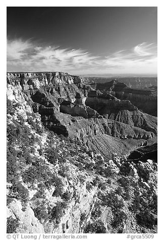 Cliffs near Cape Royal, morning. Grand Canyon National Park, Arizona, USA.