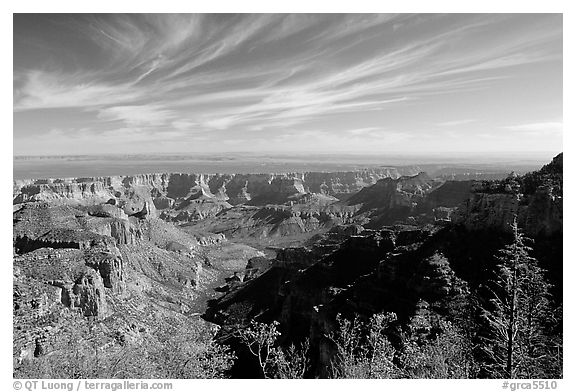 View from Vista Encantada, morning. Grand Canyon National Park (black and white)
