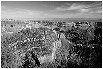 View from Roosevelt Point, morning. Grand Canyon National Park, Arizona, USA. (black and white)