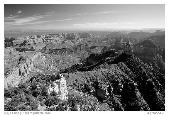 View from Point Imperial, morning. Grand Canyon National Park (black and white)