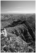 View from Point Imperial, morning. Grand Canyon National Park ( black and white)