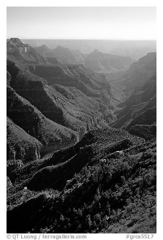 Green side canyon on  road to Point Sublime. Grand Canyon National Park (black and white)