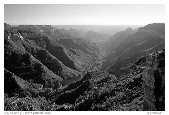 Lush side canyon, North Rim. Grand Canyon National Park (black and white)