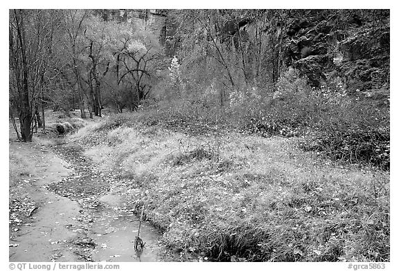 Creek in Havasu Canyon, late fall. Grand Canyon National Park (black and white)