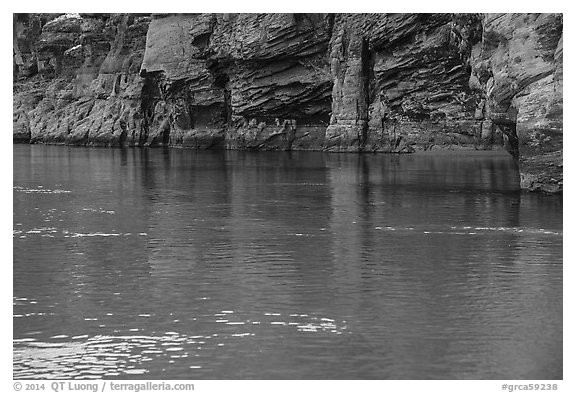 Redwall limestone reflected in green waters, Colorado River. Grand Canyon National Park (black and white)