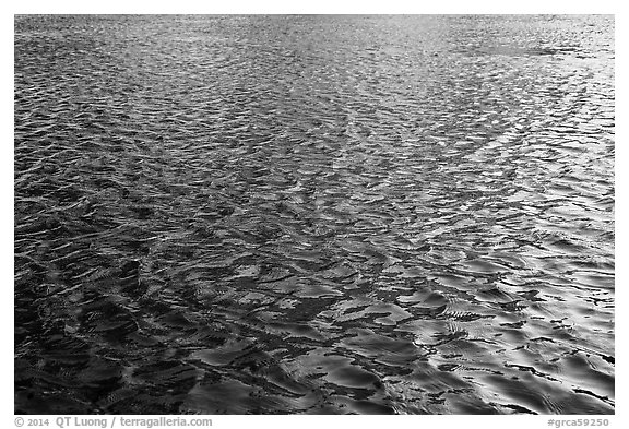 Ripples and reflections in Colorado River. Grand Canyon National Park (black and white)