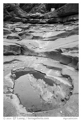 Reflection in pool, North Canyon. Grand Canyon National Park (black and white)
