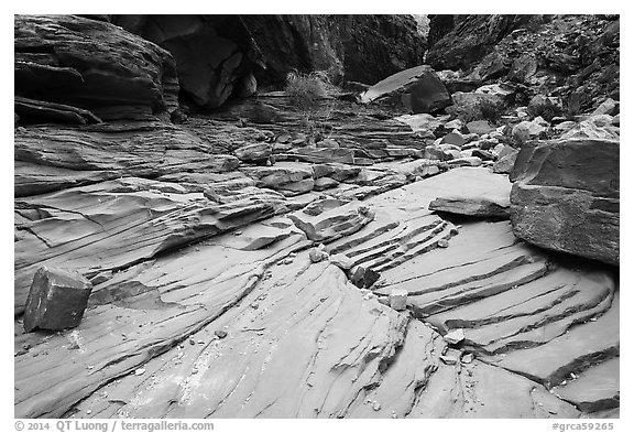 Sandstone terraces, North Canyon. Grand Canyon National Park (black and white)