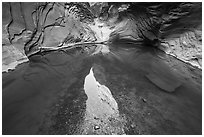 Sky and canyon walls reflected below spillway, North Canyon. Grand Canyon National Park ( black and white)