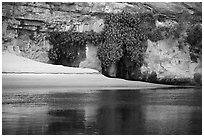 Beach, vegetation, and canyon walls, Marble Canyon. Grand Canyon National Park ( black and white)