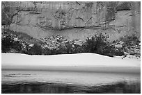 Sand dunes and trees below Redwall limestone canyon walls. Grand Canyon National Park ( black and white)