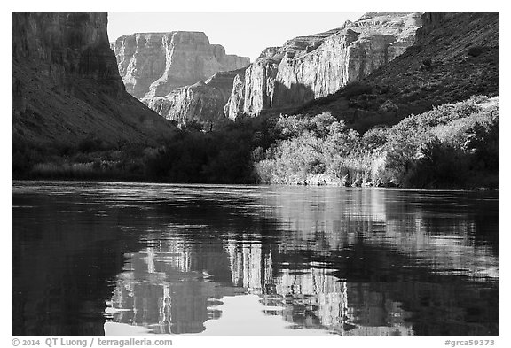 Cliffs and vegetation reflected in Colorado River, morning. Grand Canyon National Park (black and white)