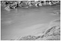 Turquoise waters of the Little Colorado River. Grand Canyon National Park ( black and white)