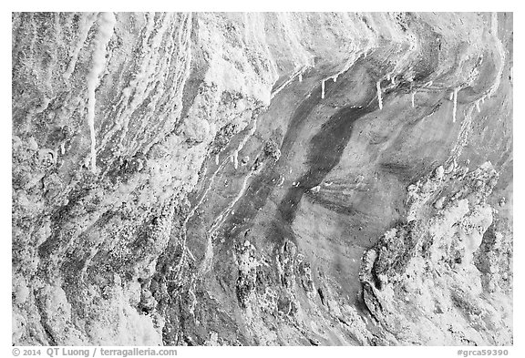 Alcove with salt stalagtites. Grand Canyon National Park (black and white)