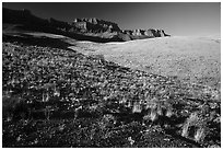 Slopes and South Rim, early morning. Grand Canyon National Park ( black and white)