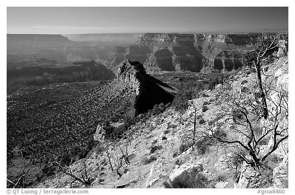 Bridger Knoll and burned slope from Monument Point, morning. Grand Canyon National Park (black and white)
