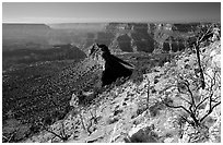 Bridger Knoll and burned slope from Monument Point, morning. Grand Canyon National Park ( black and white)