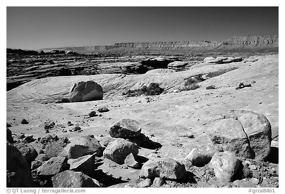 Esplanade, mid-day. Grand Canyon National Park (black and white)