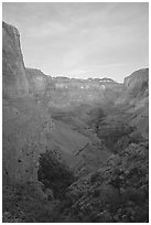 Tapeats Creek, dusk. Grand Canyon National Park ( black and white)