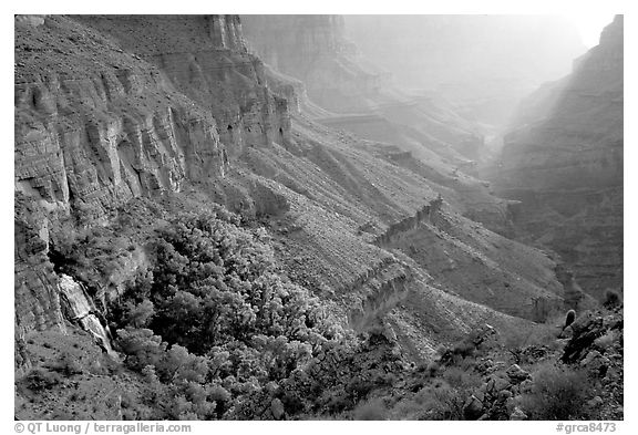Oasis of Thunder Spring in Tapeats Creek, morning. Grand Canyon National Park (black and white)
