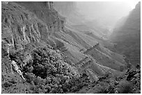 Oasis of Thunder Spring in Tapeats Creek, morning. Grand Canyon National Park, Arizona, USA. (black and white)