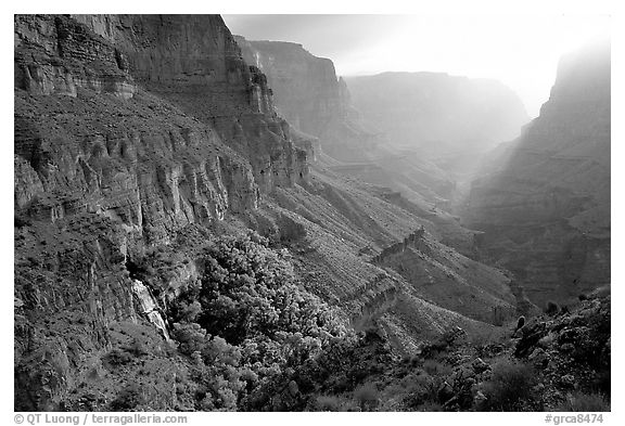 Thunder Spring and Tapeats Creek, morning. Grand Canyon National Park, Arizona, USA.