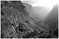 Thunder Spring and Tapeats Creek, morning. Grand Canyon National Park, Arizona, USA. (black and white)