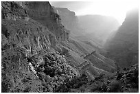 Thunder Spring and Tapeats Creek, morning. Grand Canyon National Park ( black and white)