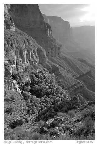 Thunder Spring and Tapeats Creek, morning. Grand Canyon National Park (black and white)