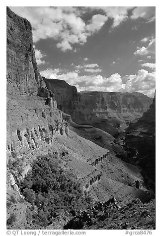 Red wall, Thunder Spring and Tapeats Creek, morning. Grand Canyon National Park, Arizona, USA.