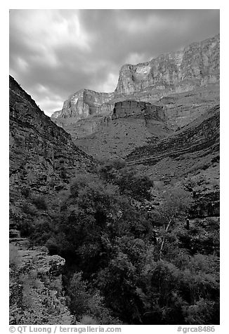 Tapeats Creek, dusk. Grand Canyon National Park (black and white)