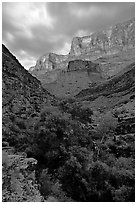 Tapeats Creek, dusk. Grand Canyon National Park, Arizona, USA. (black and white)