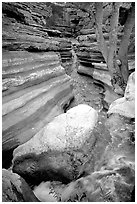 Deer Creek flows into a narrow canyon. Grand Canyon National Park, Arizona, USA. (black and white)