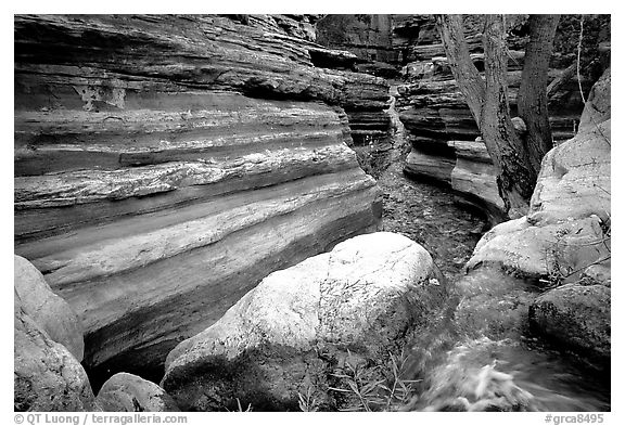 Entrance of Deer Creek Narrows. Grand Canyon National Park, Arizona, USA.