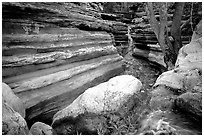 Entrance of Deer Creek Narrows. Grand Canyon National Park ( black and white)