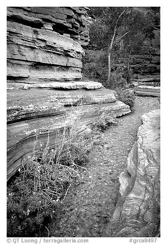 Stream in Deer Creek Narrows. Grand Canyon National Park (black and white)
