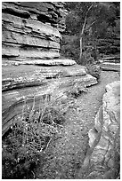 Stream in Deer Creek Narrows. Grand Canyon National Park, Arizona, USA. (black and white)