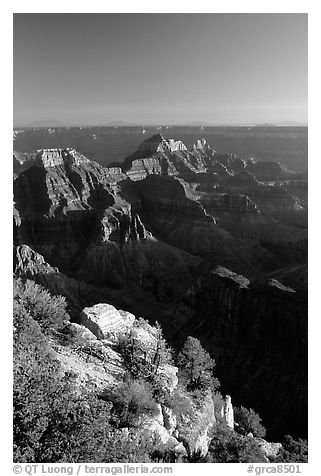 View from Bright Angel Point. Grand Canyon National Park (black and white)