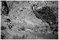 Backpacker above Thunder River Oasis. Grand Canyon National Park, Arizona, USA. (black and white)