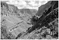 Backpacker on trail above Tapeats Creekr. Grand Canyon National Park, Arizona, USA. (black and white)