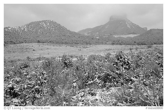 Fresh snow on meadows and mesas near  Park entrance. Mesa Verde National Park (black and white)