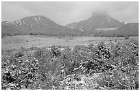 Fresh snow on meadows and mesas near  Park entrance. Mesa Verde National Park, Colorado, USA. (black and white)