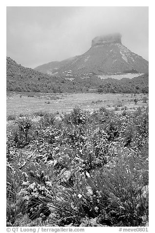 Fresh snow on meadows and Lookout Peak. Mesa Verde National Park (black and white)