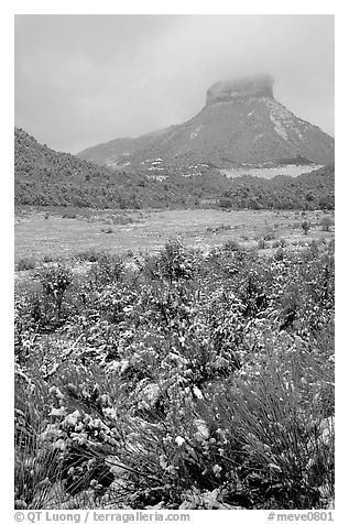 Fresh snow on meadows and Lookout Peak. Mesa Verde National Park, Colorado, USA.