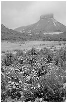 Fresh snow on meadows and Lookout Peak. Mesa Verde National Park, Colorado, USA. (black and white)