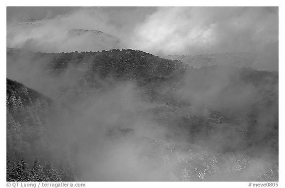 Winter storm clears on North Rim at Park Point, morning. Mesa Verde National Park (black and white)