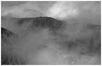 Winter storm clears on North Rim at Park Point, morning. Mesa Verde National Park ( black and white)