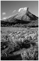 Meadows and mesas near  Park entrance, early morning. Mesa Verde National Park, Colorado, USA. (black and white)