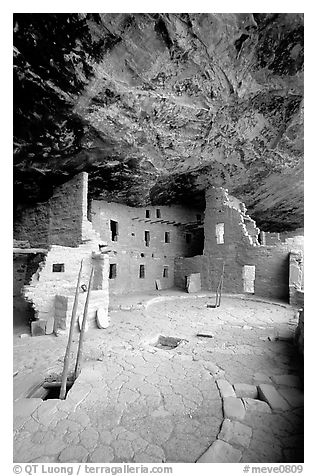 Ladder emerging from Kiva and Spruce Tree house. Mesa Verde National Park, Colorado, USA.